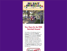 Tablet Screenshot of bigeasysnowballs.com